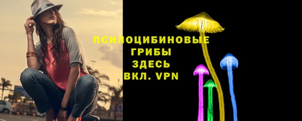 дмт Горно-Алтайск